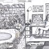 Lockdown Diary